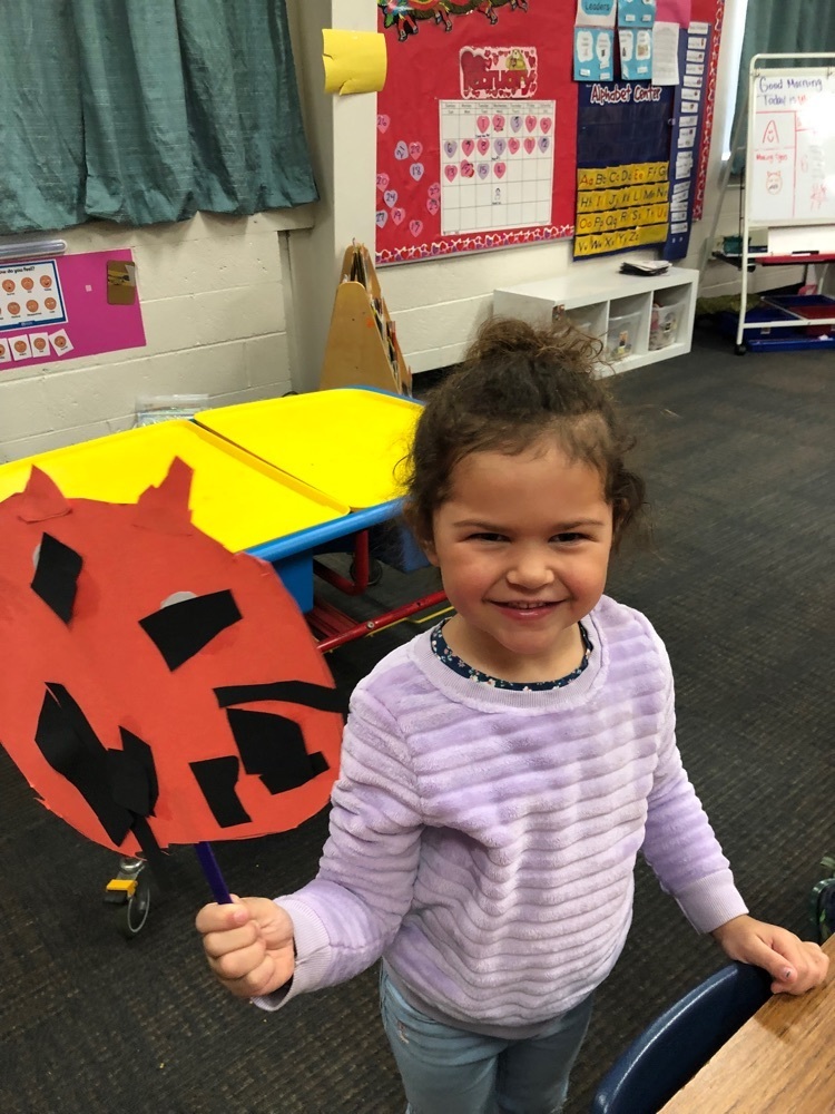 year of the tiger
